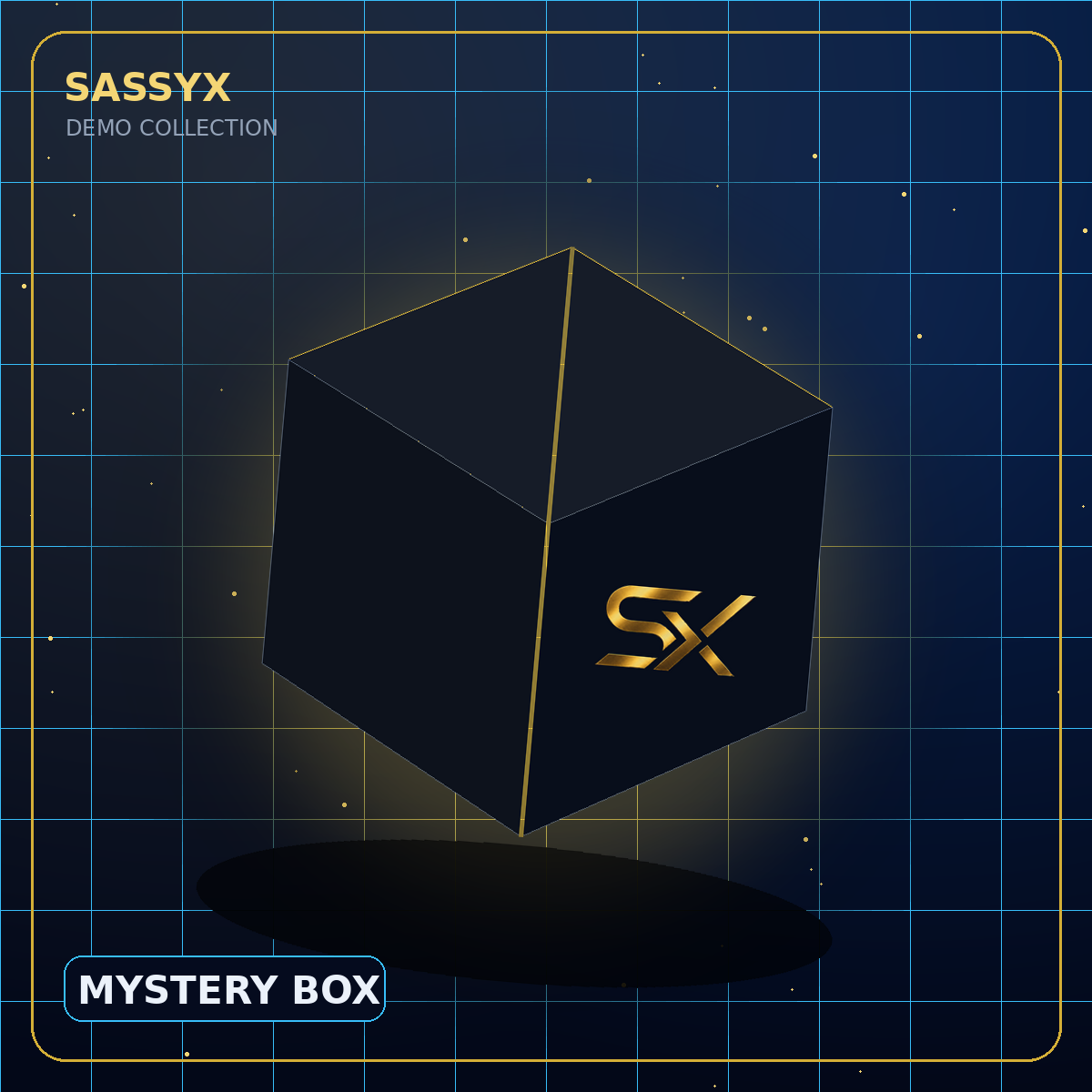 SASSYX Mystery Lifestyle Box — Demo image 3