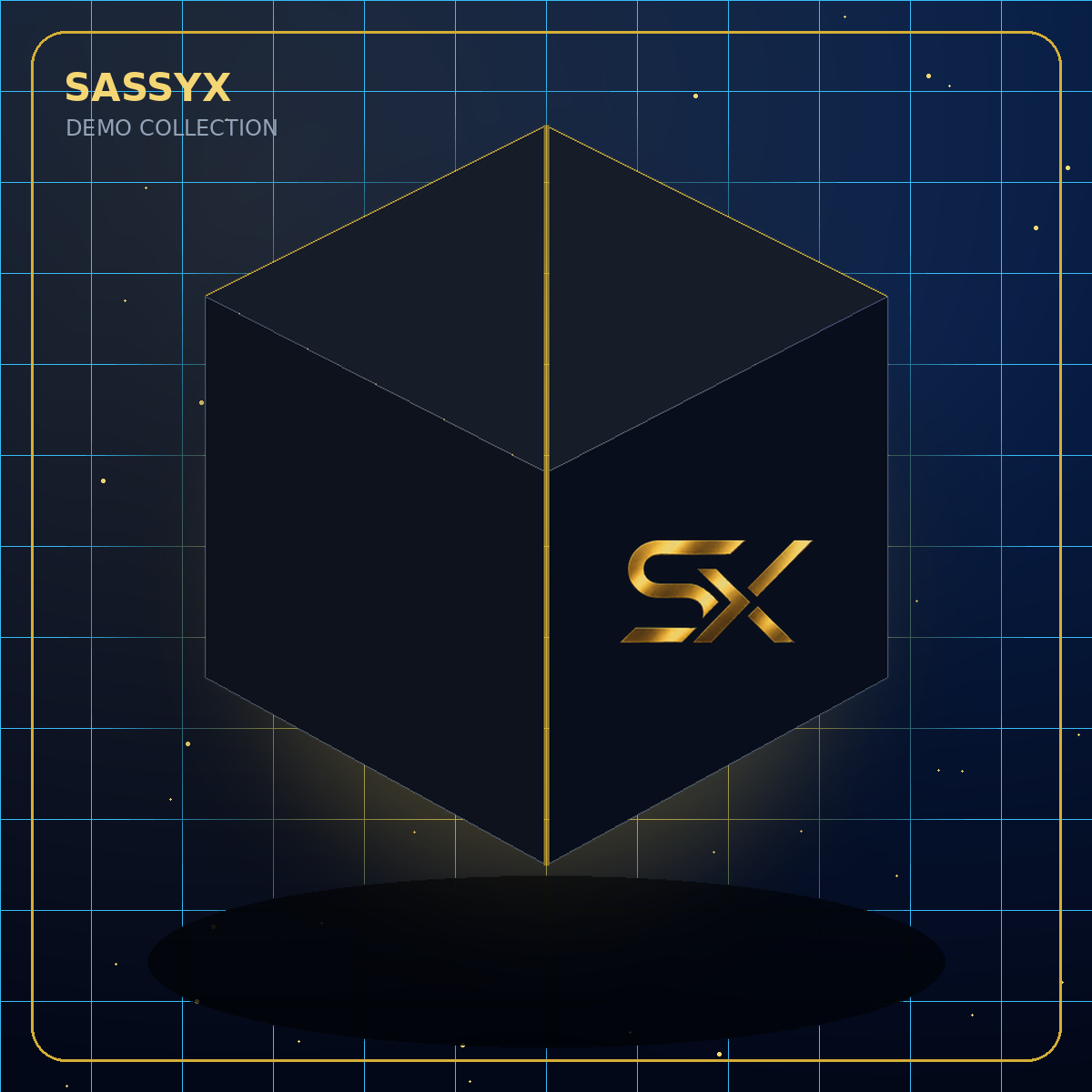 SASSYX Mystery Lifestyle Box — Demo image 2