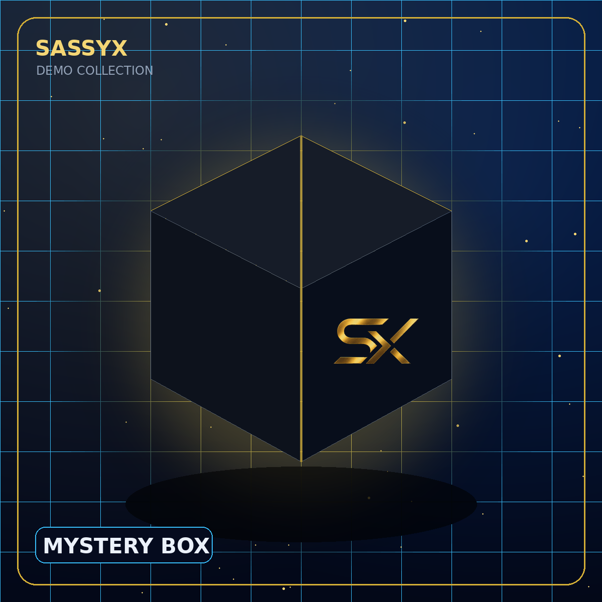 SASSYX Mystery Lifestyle Box — Demo