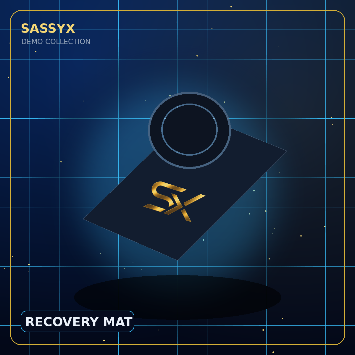 SASSYX Recovery Mat — Demo
