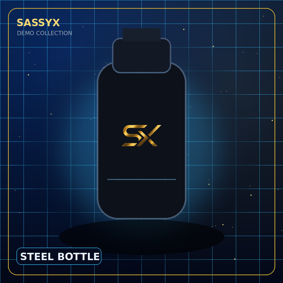 SASSYX Steel Bottle — Demo